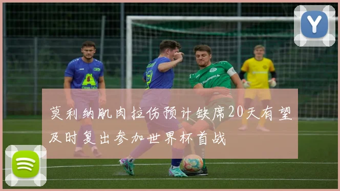 莫利纳肌肉拉伤预计缺席20天有望及时复出参加世界杯首战