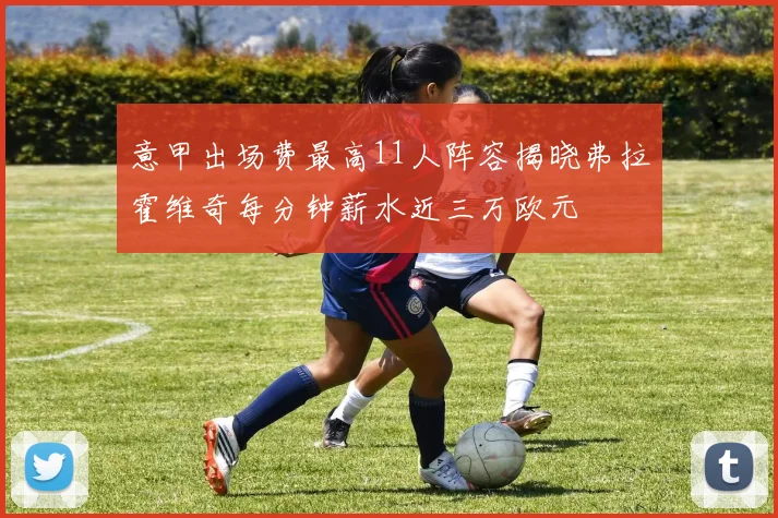 意甲出场费最高11人阵容揭晓弗拉霍维奇每分钟薪水近三万欧元